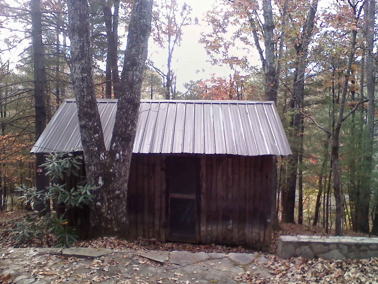New metal gable roof on a small log shed among the trees in Runnells